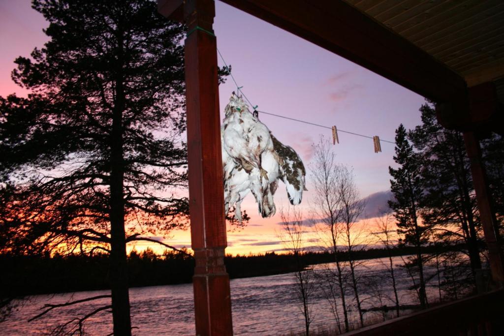 Luongasloma Chalets Palojoensuu Camera foto